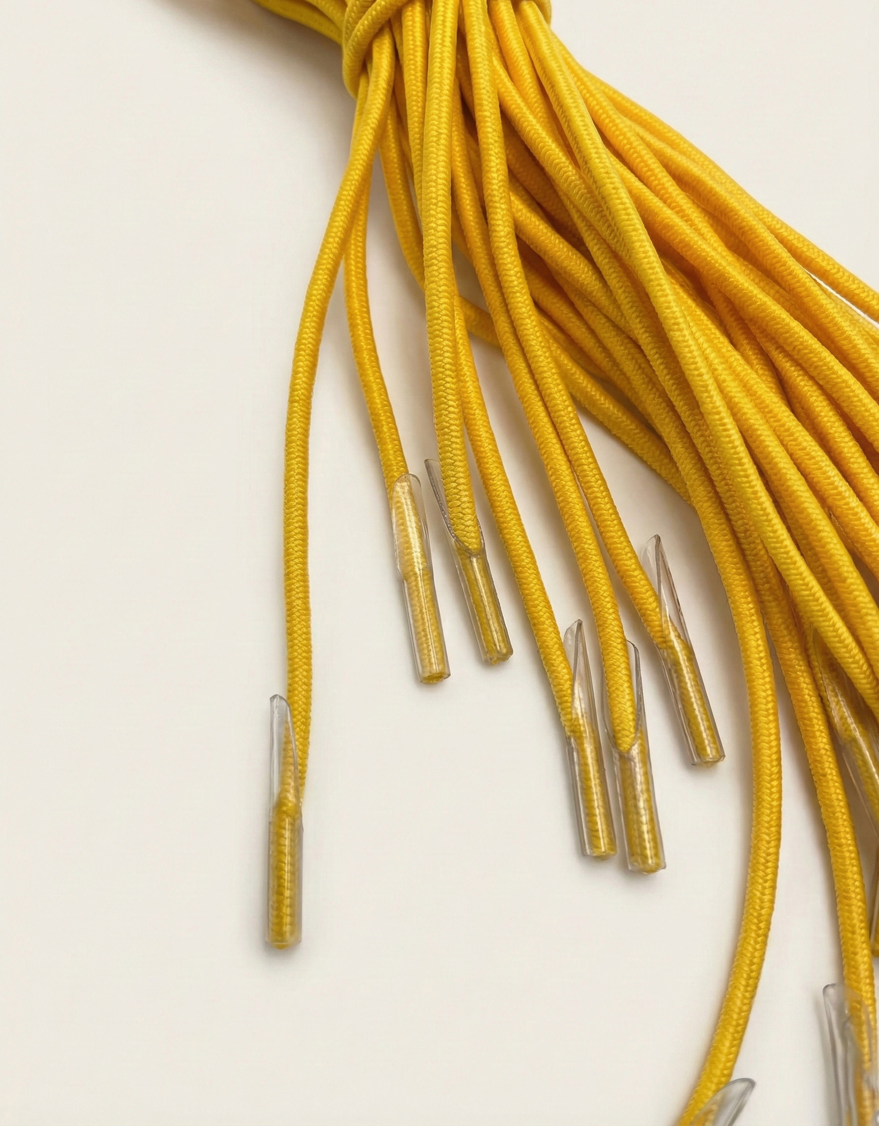 Elastic Folder Bands